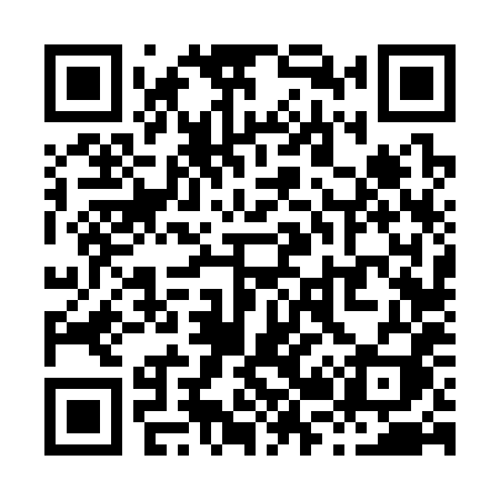 QR code for X2638I