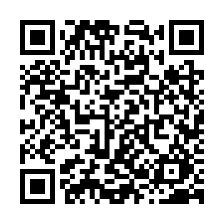 QR code for X263RO