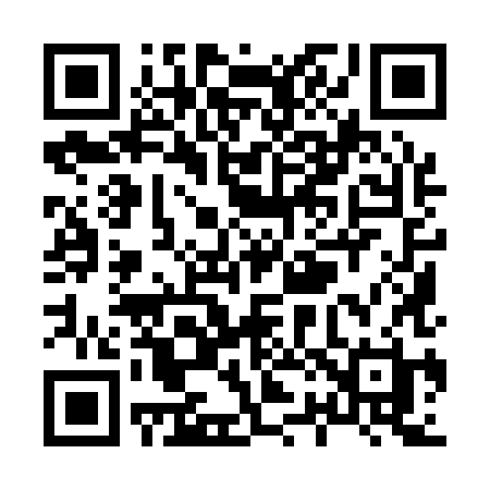 QR code for X2918H