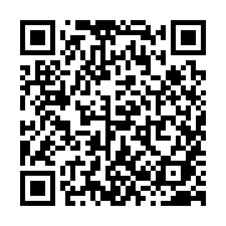 QR code for X2938I