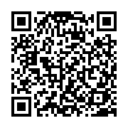 QR code for X293WJ