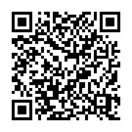 QR code for X2950T