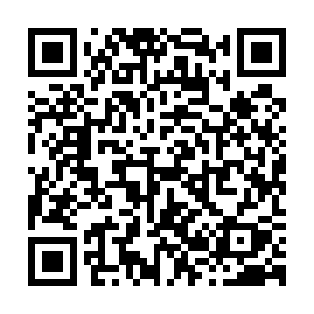 QR code for X2953Y