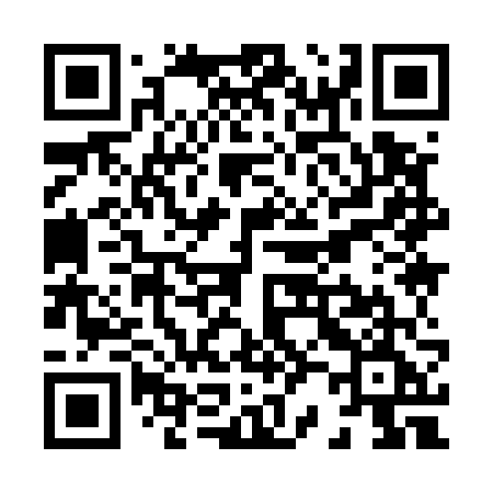 QR code for X2956E