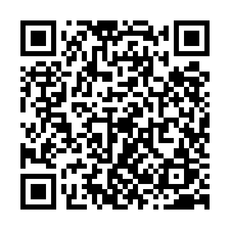 QR code for X295KR