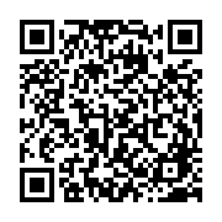 QR code for X29MTG