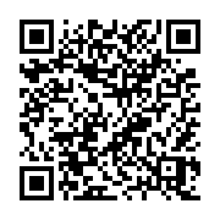 QR code for X29VDR