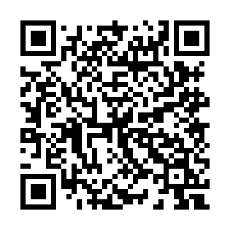 QR code for X308EN