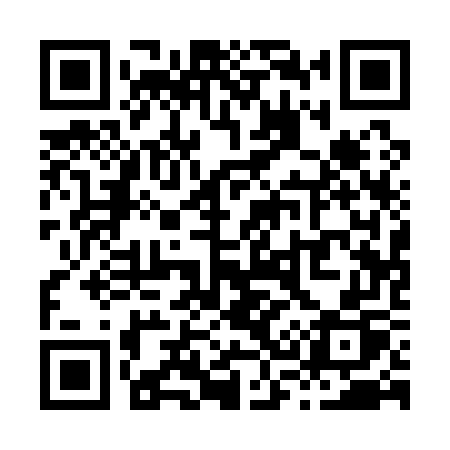 QR code for X3117P