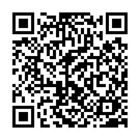 QR code for X3173O