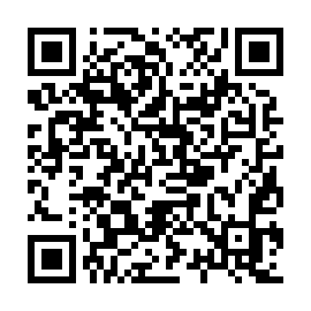 QR code for X3385K