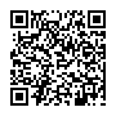 QR code for X3389S