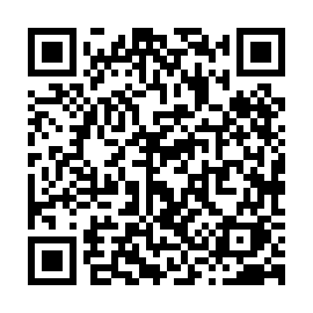 QR code for X380GK