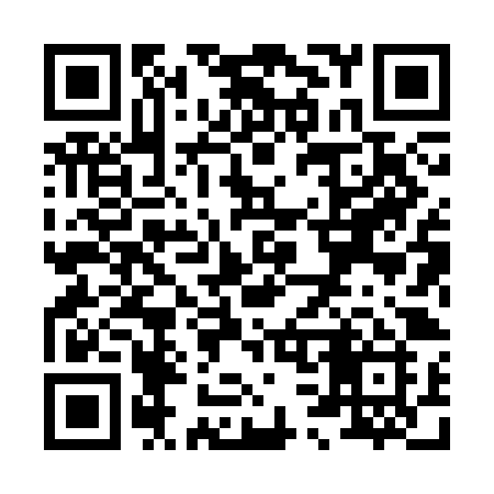 QR code for X383JI