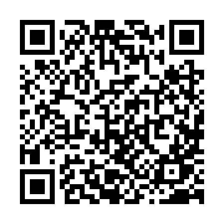 QR code for X383XT
