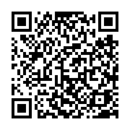 QR code for X386SA