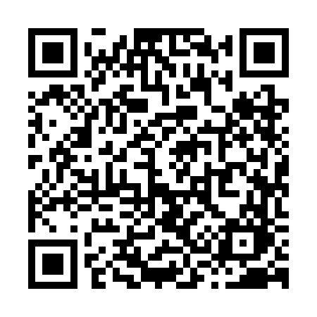 QR code for X393FO