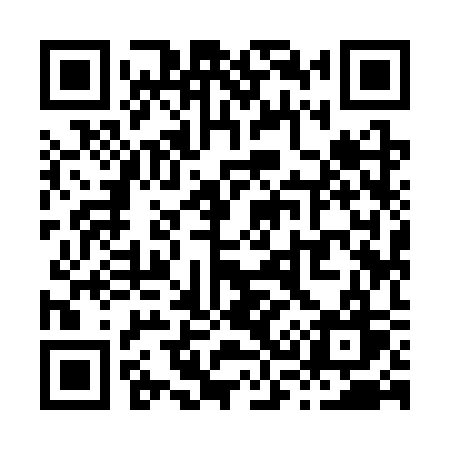 QR code for X393SW