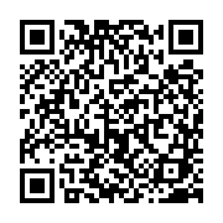 QR code for X395TI