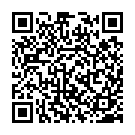 QR code for X4171S