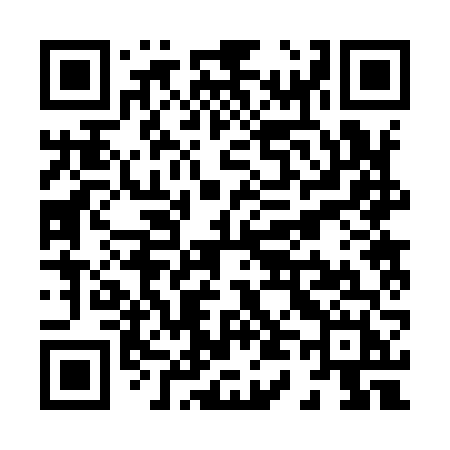 QR code for X4296H