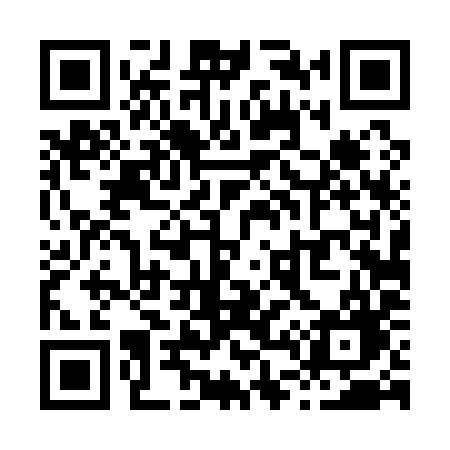 QR code for X4419G