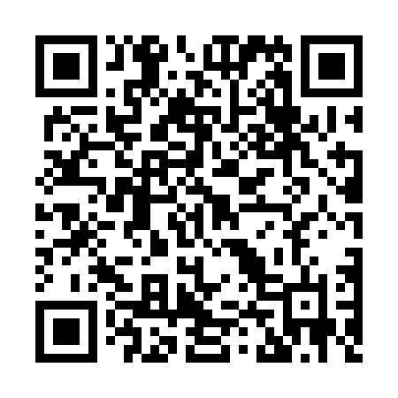QR code for X453DN