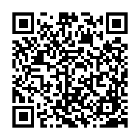 QR code for X495VD
