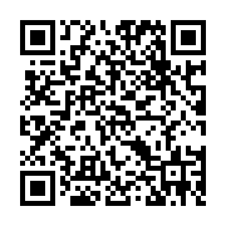 QR code for X4991S