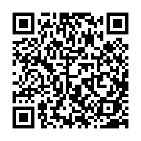 QR code for X6009H