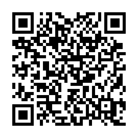 QR code for X613BD