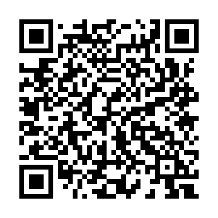 QR code for X619VI