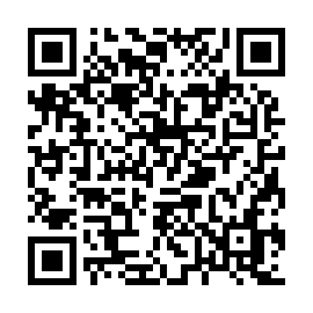 QR code for X6393N