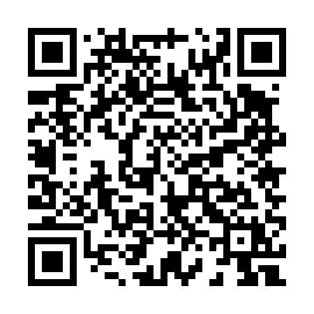 QR code for X6541X