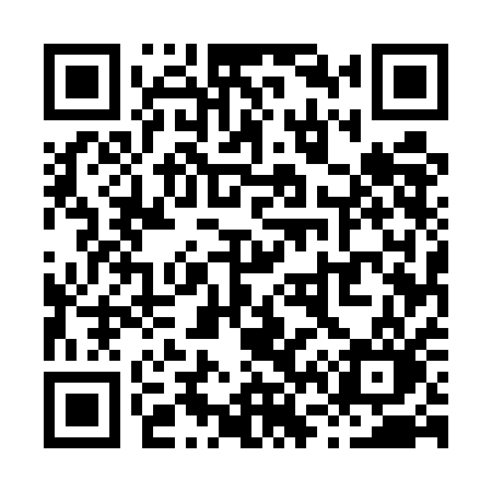 QR code for X655AO