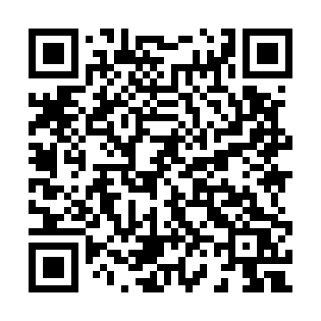 QR code for X6950S