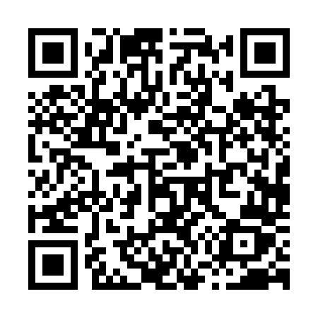 QR code for X703DZ