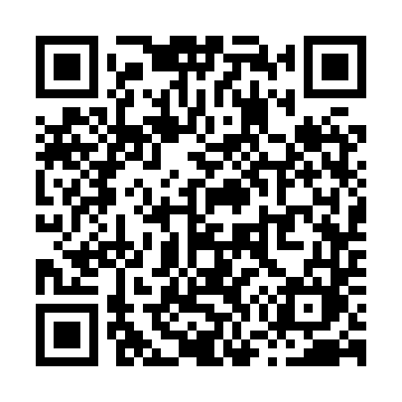 QR code for X738TM