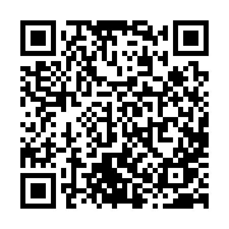 QR code for X8038W