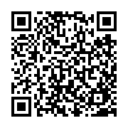 QR code for X816ZD