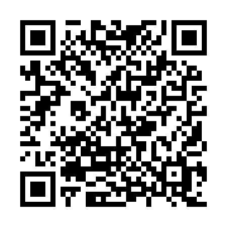 QR code for X819QL