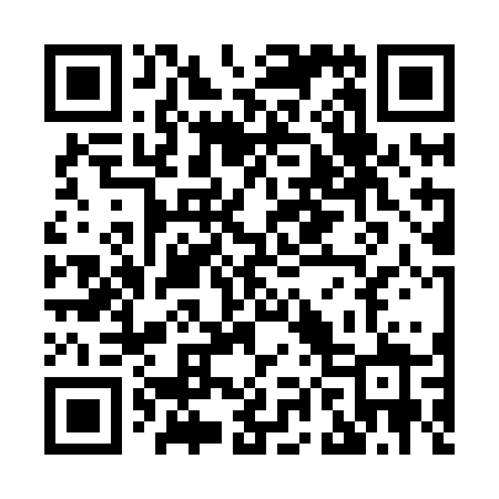 QR code for X838BZ