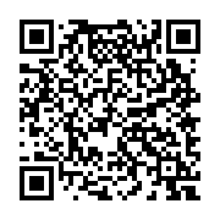 QR code for X8539H