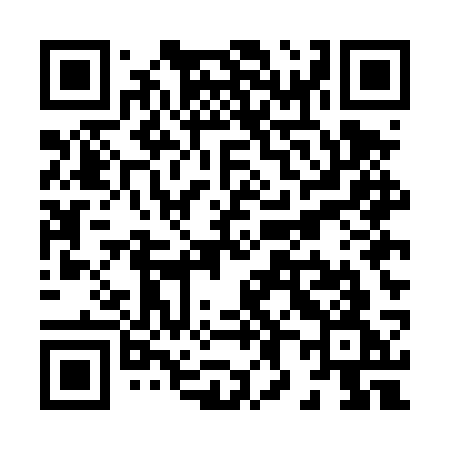 QR code for X85DSG