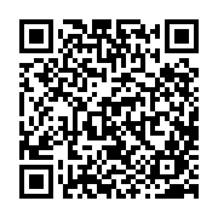 QR code for X901IN