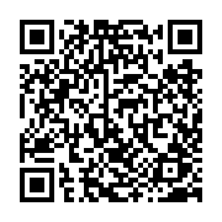 QR code for X917JR