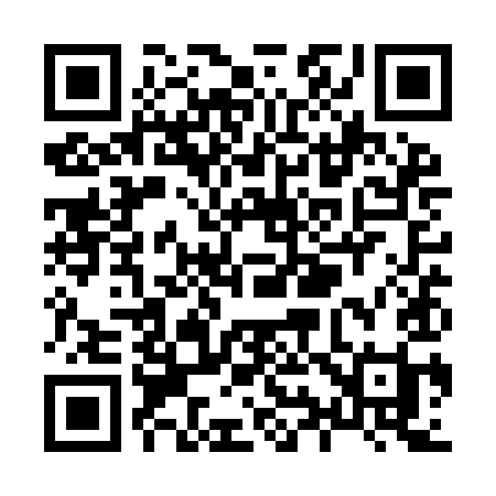 QR code for X91YII