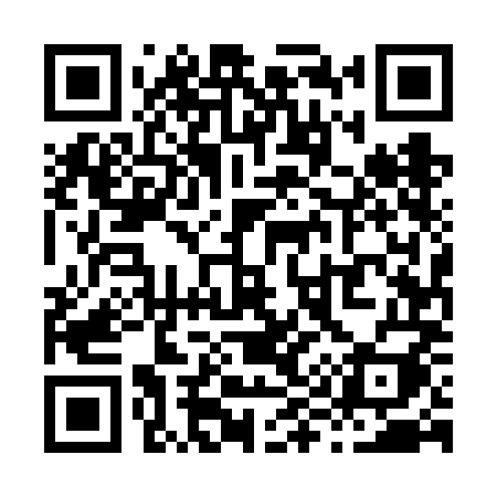 QR code for X956MI