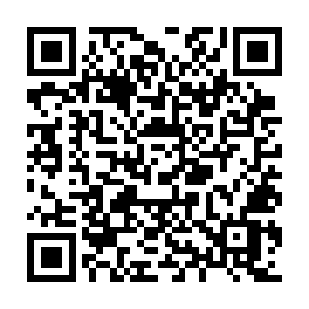 QR code for X95SMV