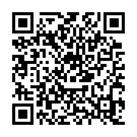 QR code for X95SRO